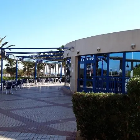 Patacona *